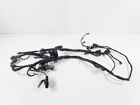 2006 Harley Sportster XL1200 C Main Wiring Harness Loom - Read 70139-06 {{ shop.shopifyCountryName }} - Mototech271