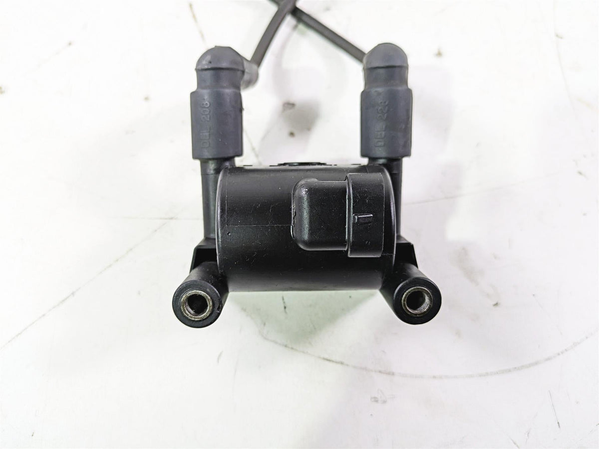 2016 Harley Touring FLTRX Road Glide Ignition Coil & Wires Set Delphi 31696-07A {{ shop.shopifyCountryName }} - Mototech271