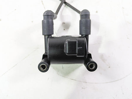 2016 Harley Touring FLTRX Road Glide Ignition Coil & Wires Set Delphi 31696-07A {{ shop.shopifyCountryName }} - Mototech271