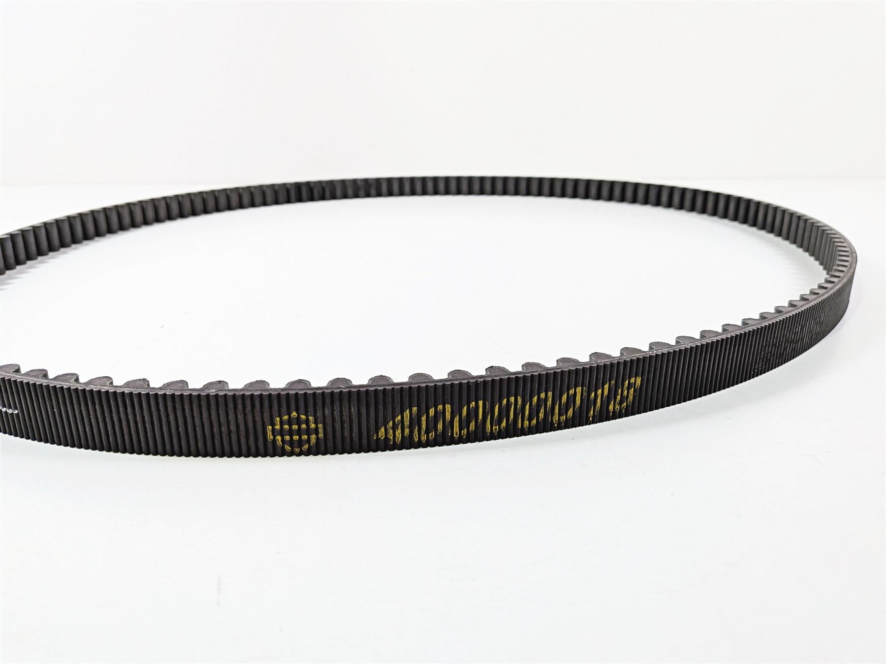2024 Harley Softail FXLRST Low Rider Rear Drive Belt 134T 24mm 40000018 {{ shop.shopifyCountryName }} - Mototech271