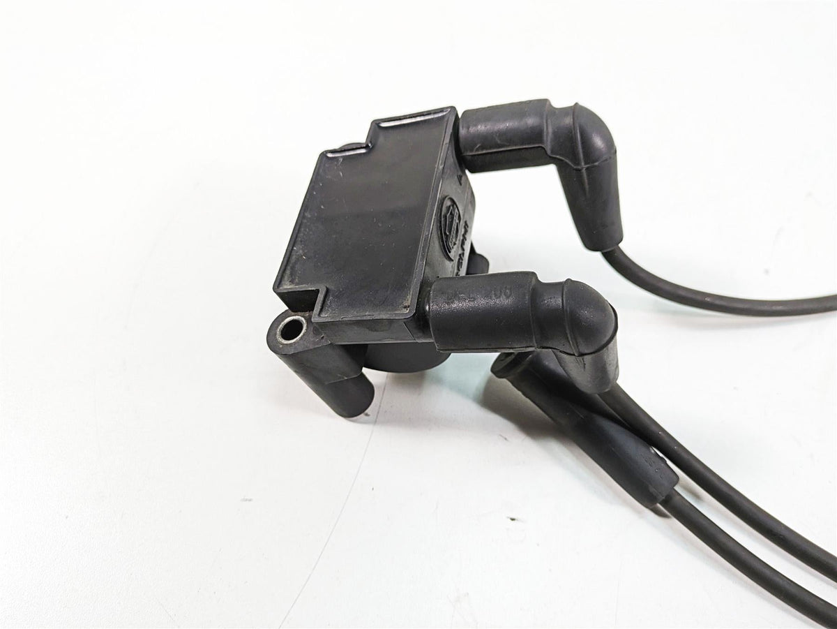 2011 Harley Touring FLTRU Road Glide Delphi Ignition Coil Wires Plugs 31696-07A {{ shop.shopifyCountryName }} - Mototech271