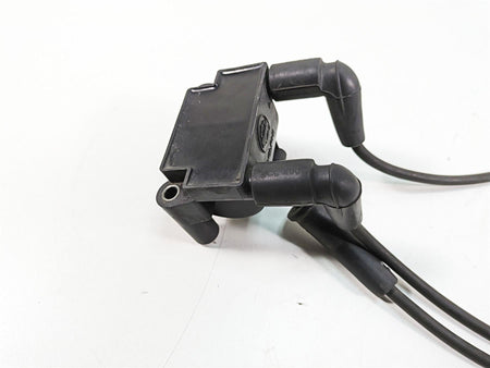 2011 Harley Touring FLTRU Road Glide Delphi Ignition Coil Wires Plugs 31696-07A {{ shop.shopifyCountryName }} - Mototech271