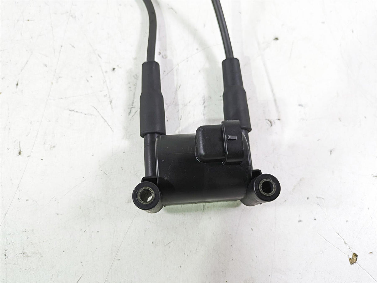 2013 Harley FXDWG Dyna Wide Glide Delphi Ignition Coil Wires Plug Set 31696-07A {{ shop.shopifyCountryName }} - Mototech271