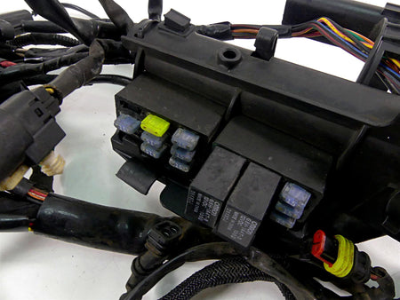 2009 Harley XR1200 Sportster Main & Engine Wiring Harness Read 70225-08 70163-08 {{ shop.shopifyCountryName }} - Mototech271