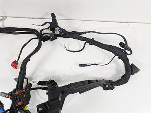 2024 Harley Sportster RH975 S Main Wiring Harness Loom - READ 69203115A