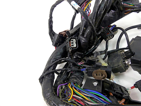 2022 Triumph Speed Triple 1200 RS Wiring Harness Loom -No Cuts T2505123 {{ shop.shopifyCountryName }} - Mototech271