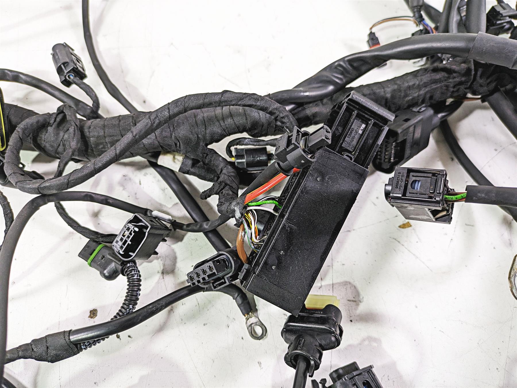 2017 BMW S1000R K47 Main & Engine Ddc Wiring Harness - Read 61118355087 {{ shop.shopifyCountryName }} - Mototech271