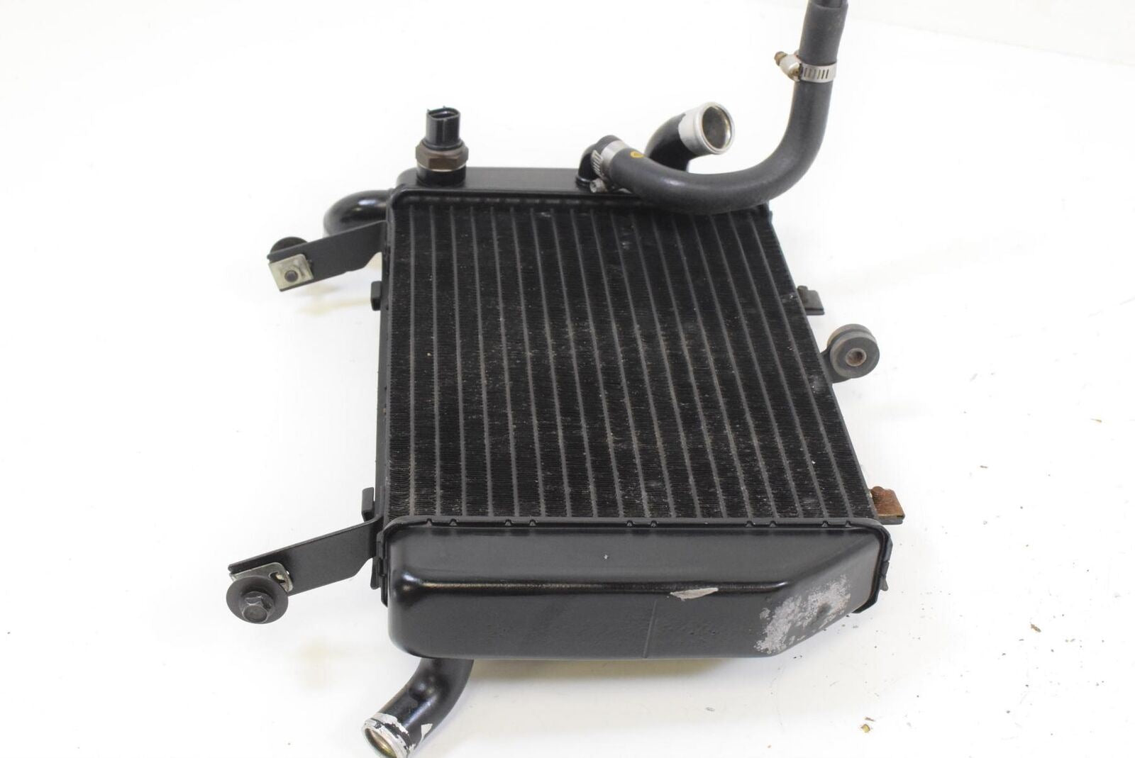 2000 Suzuki TL1000R TL1000 Lower Coolant Radiator NICE SHAPE NO LEAK 17720-02FA0 {{ shop.shopifyCountryName }} - Mototech271