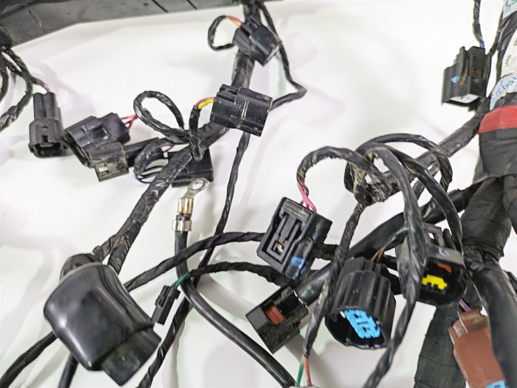 2024 Triumph Tiger 900 GT Main Wiring Harness Loom - No Cut T2507820 T2502370 {{ shop.shopifyCountryName }} - Mototech271