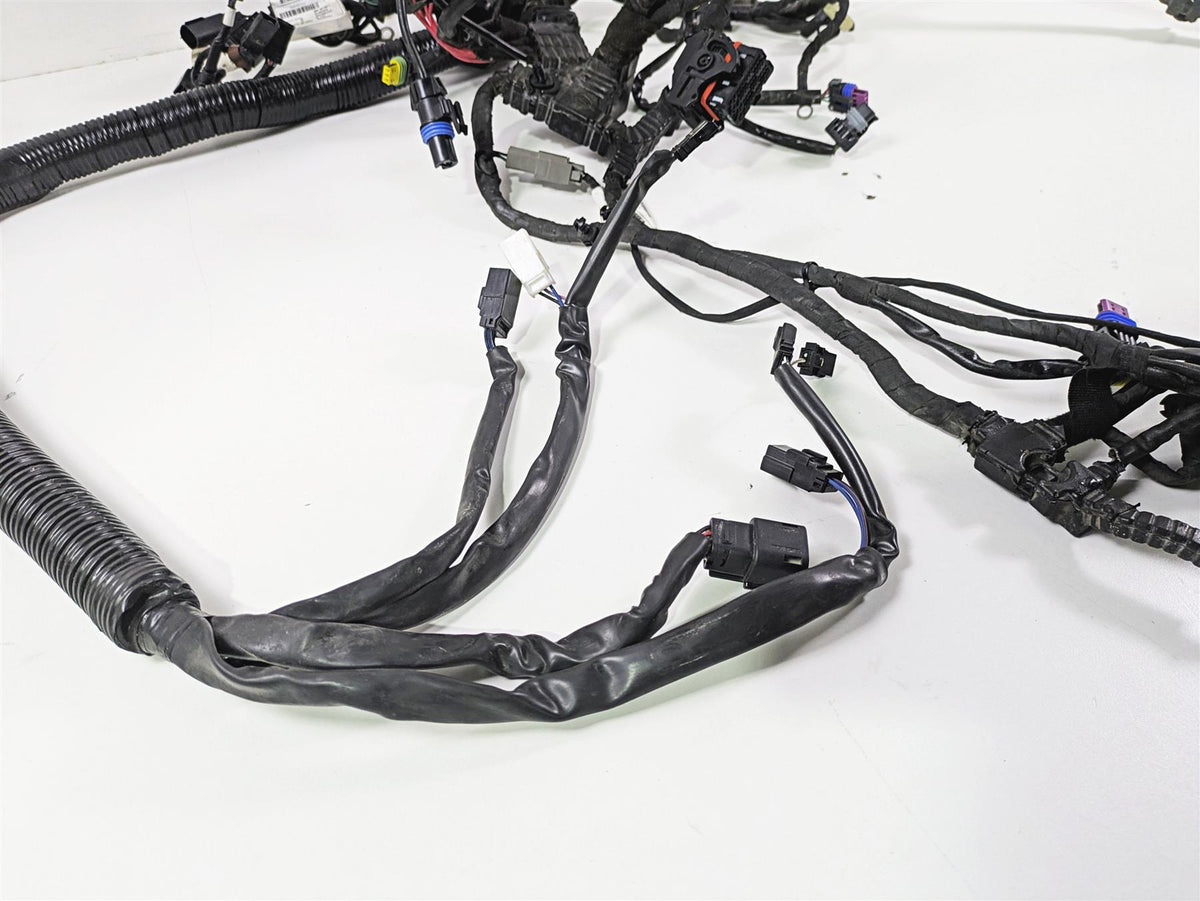 2014 Harley FXDF Dyna Fat Bob Wiring Harness Loom Non Abs 71075-12A 69200455 {{ shop.shopifyCountryName }} - Mototech271