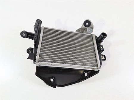 2021 BMW R1250GS K51 Adventure Left Coolant Radiator Cover Set 17118546408-Mototech271