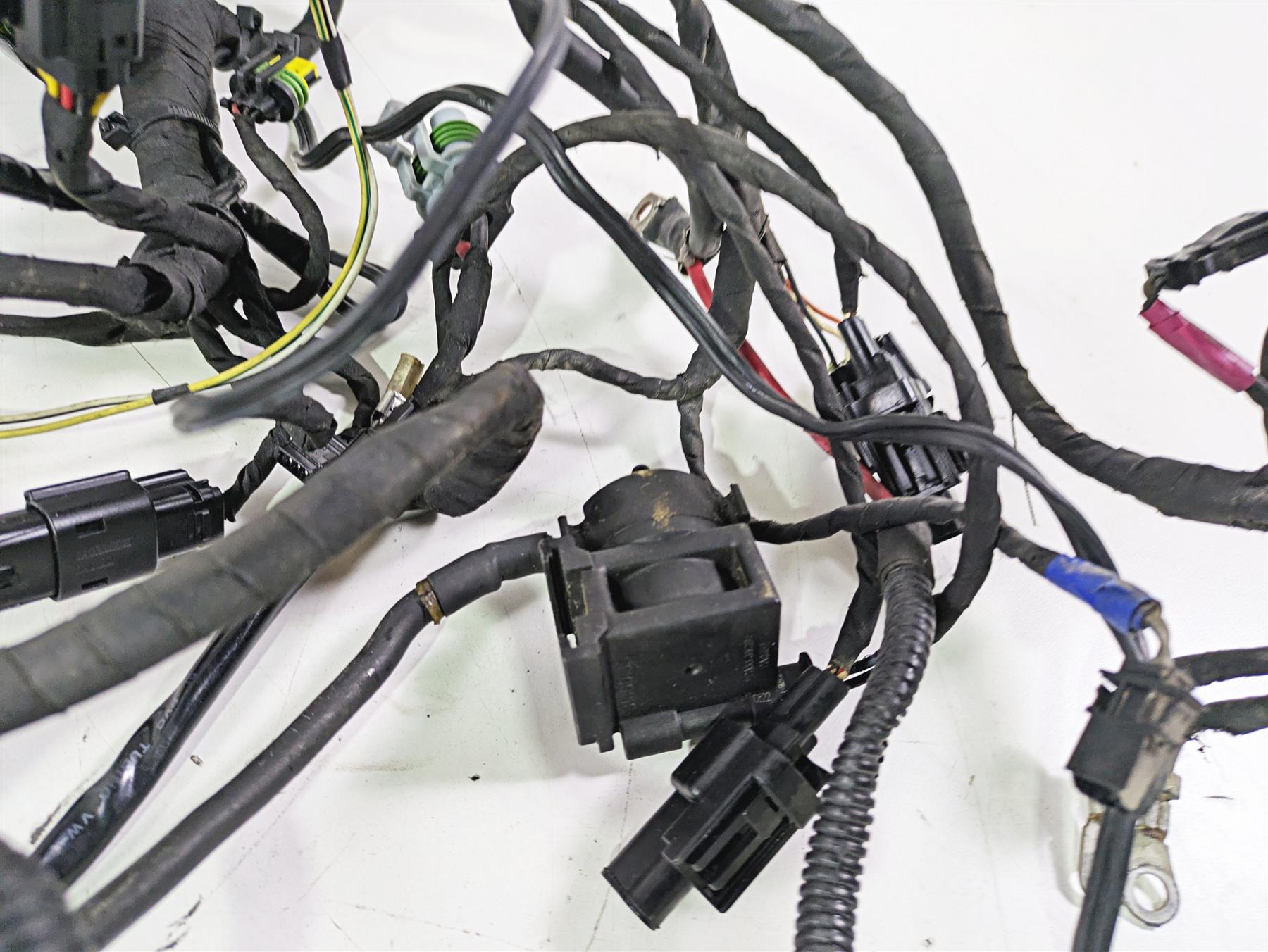 2022 Harley RA1250 S Pan America Wiring Harness Loom - For Parts 69202185 {{ shop.shopifyCountryName }} - Mototech271