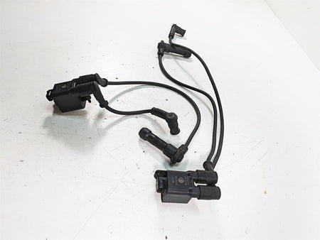 2020 Ducati Scrambler 1100 Sport Pro Beru Ignition Coil Set 38040101C {{ shop.shopifyCountryName }} - Mototech271