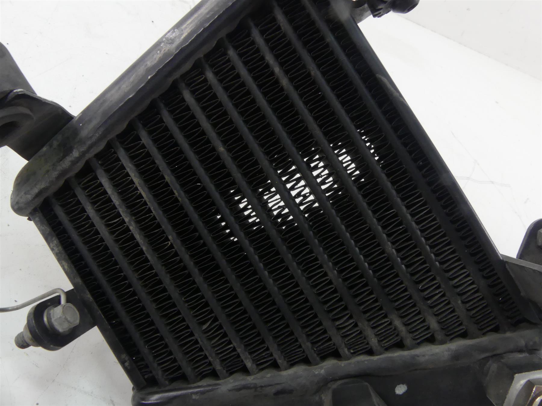 2006 Ducati 999 Biposto Oil Cooler Radiator + Cover & Lines 54840421A {{ shop.shopifyCountryName }} - Mototech271