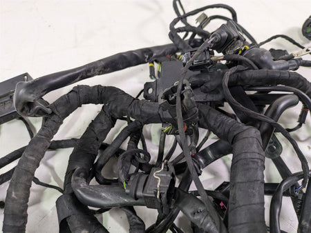 2016 BMW F800R K73 Wiring Harness Loom & Engine Wiring -No ESA 61118556428 {{ shop.shopifyCountryName }} - Mototech271