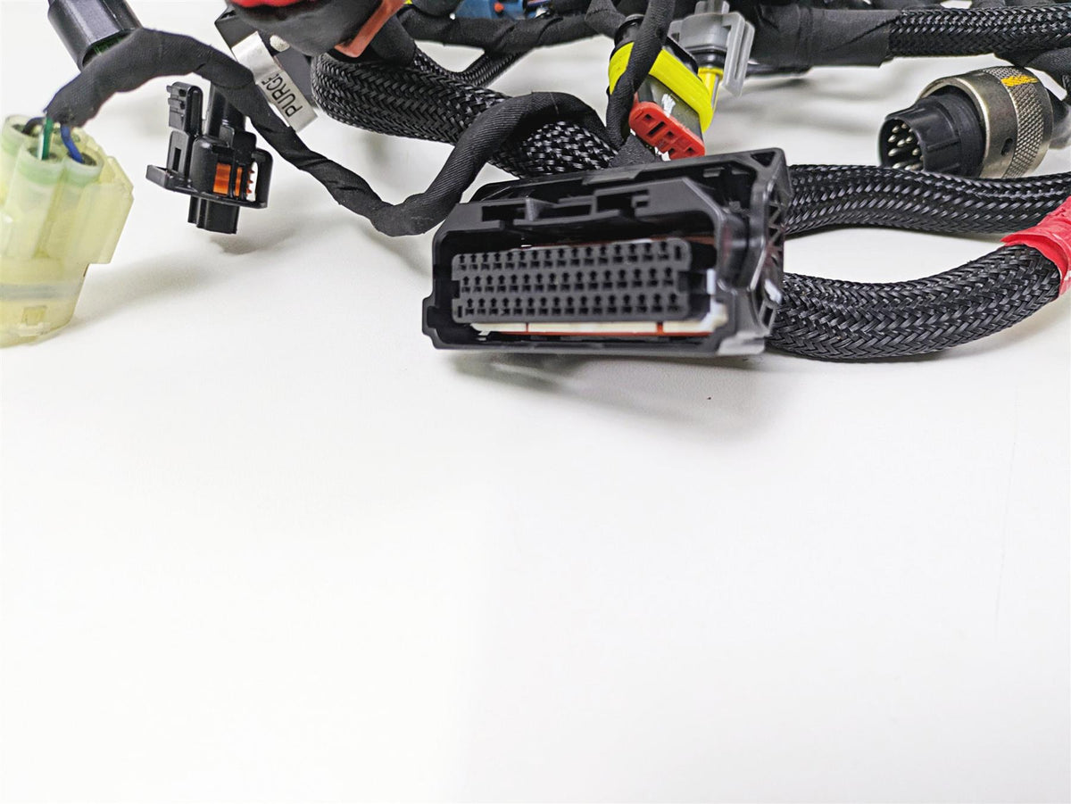 2022 Ducati Streetfighter V2 Wiring Harness Loom - No Cuts 5101L011E {{ shop.shopifyCountryName }} - Mototech271