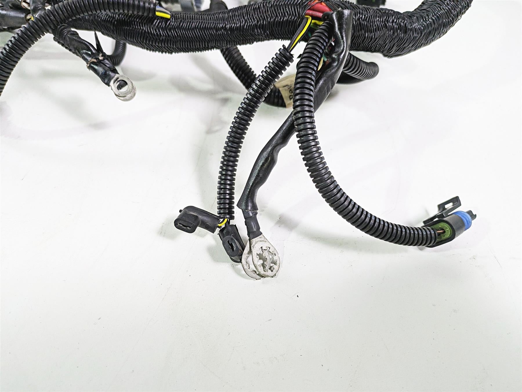2006 Harley VRSCR Street V-Rod Main & Engine Wiring Harness 70162-06 {{ shop.shopifyCountryName }} - Mototech271