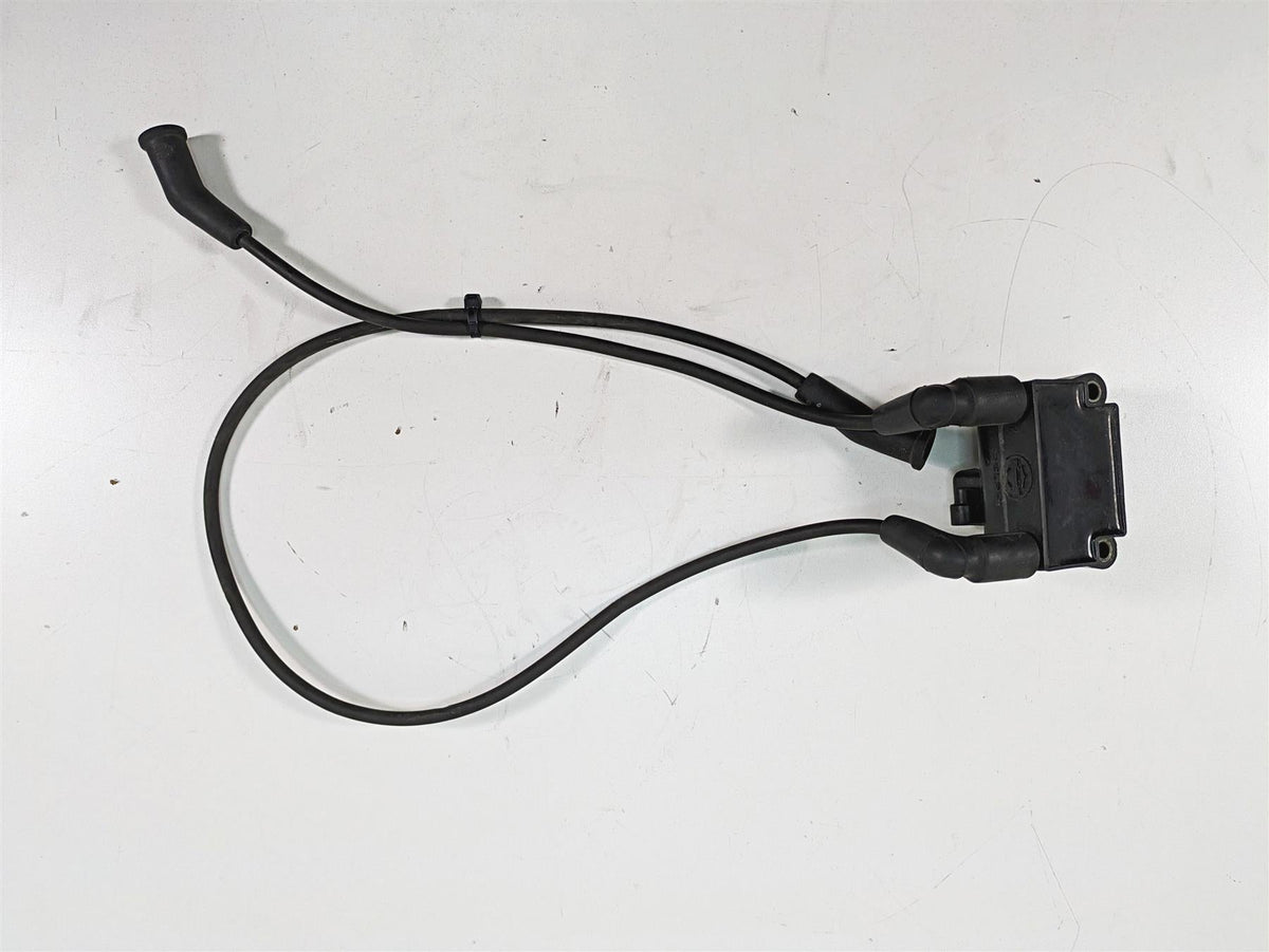 2011 Harley Touring FLTRU Road Glide Delphi Ignition Coil Wires Plugs 31696-07A {{ shop.shopifyCountryName }} - Mototech271