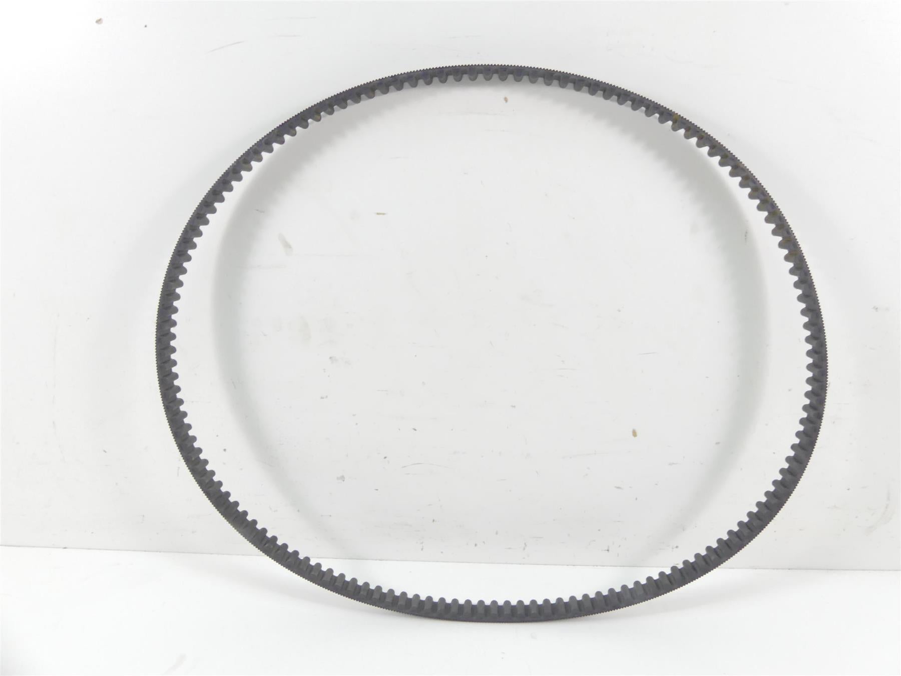 2021 Harley Softail FLSB Sport Glide Rear Drive Belt 134T 24mm 40000018 {{ shop.shopifyCountryName }} - Mototech271