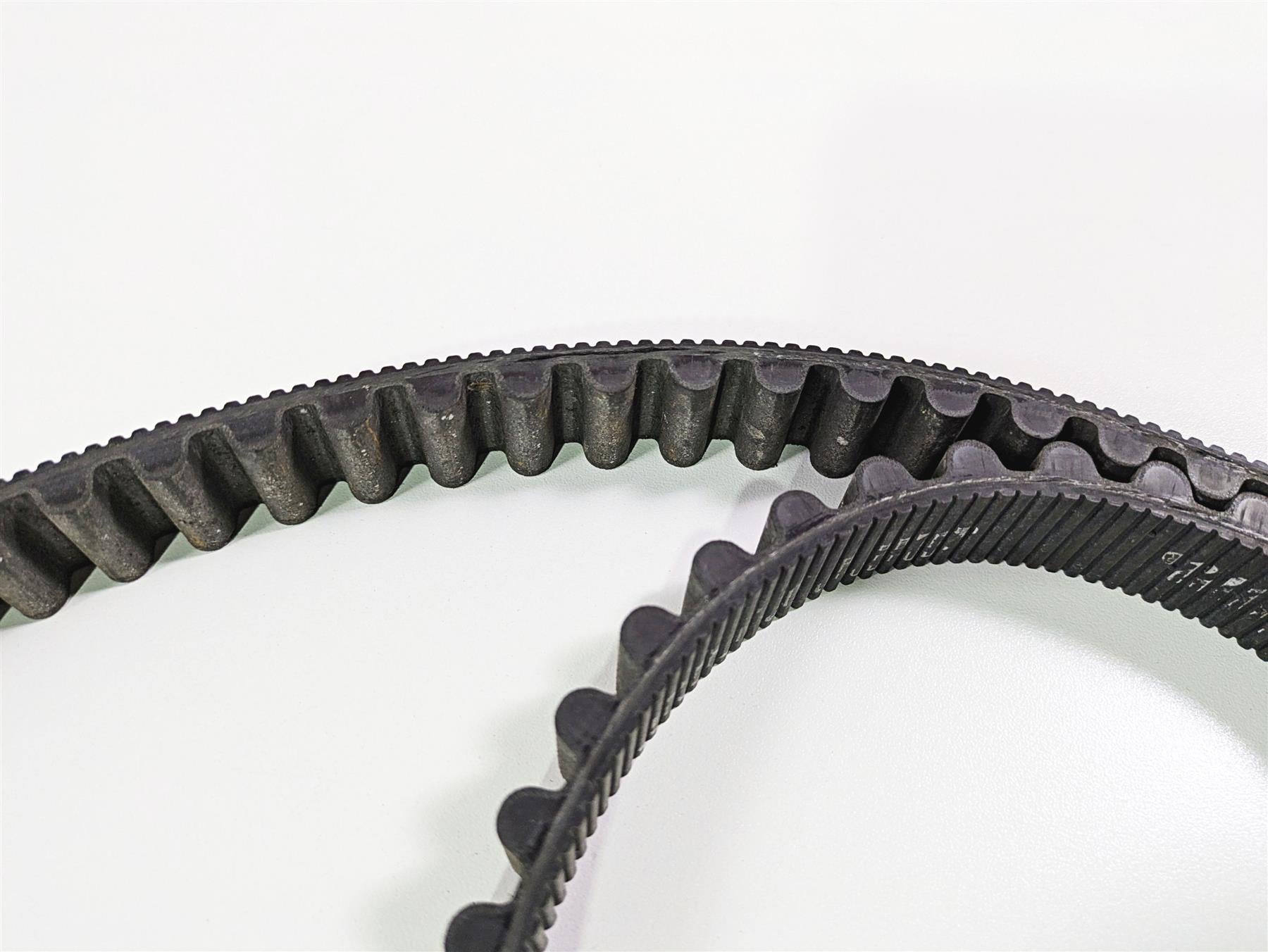 2016 Indian Chief Classic Rear Drive Belt 125T 24mm 3211168 {{ shop.shopifyCountryName }} - Mototech271