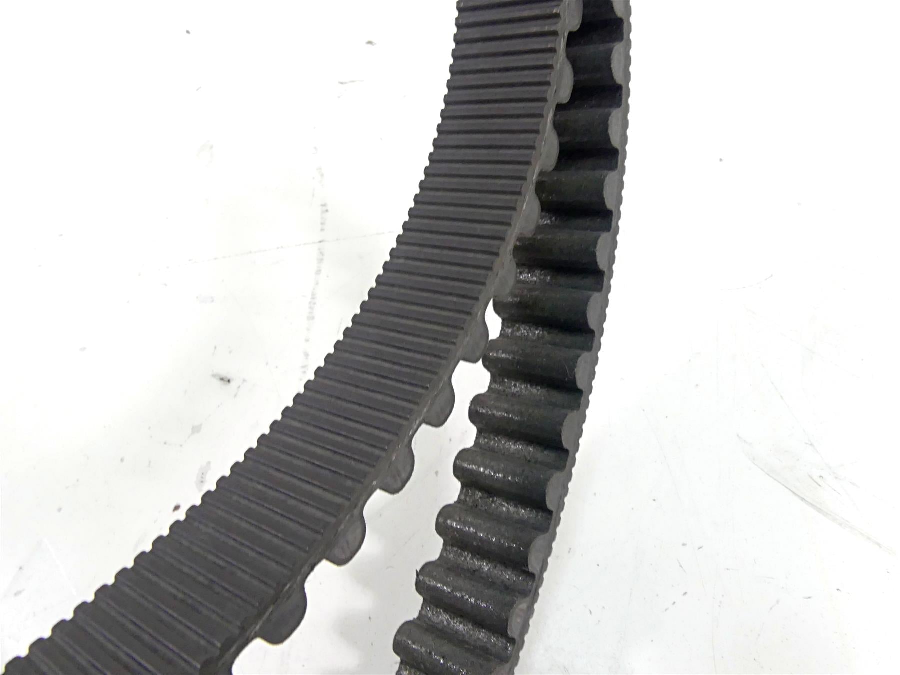 2015 Harley Davidson VRSCDX Night Rod Sp Rear Drive Belt 151T 40144-07 {{ shop.shopifyCountryName }} - Mototech271