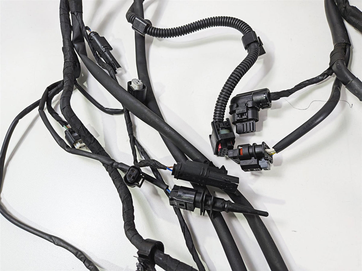 2019 BMW R1250GS K50 Main & Engine Wiring Harness Esa - No Cuts 61119480785 {{ shop.shopifyCountryName }} - Mototech271