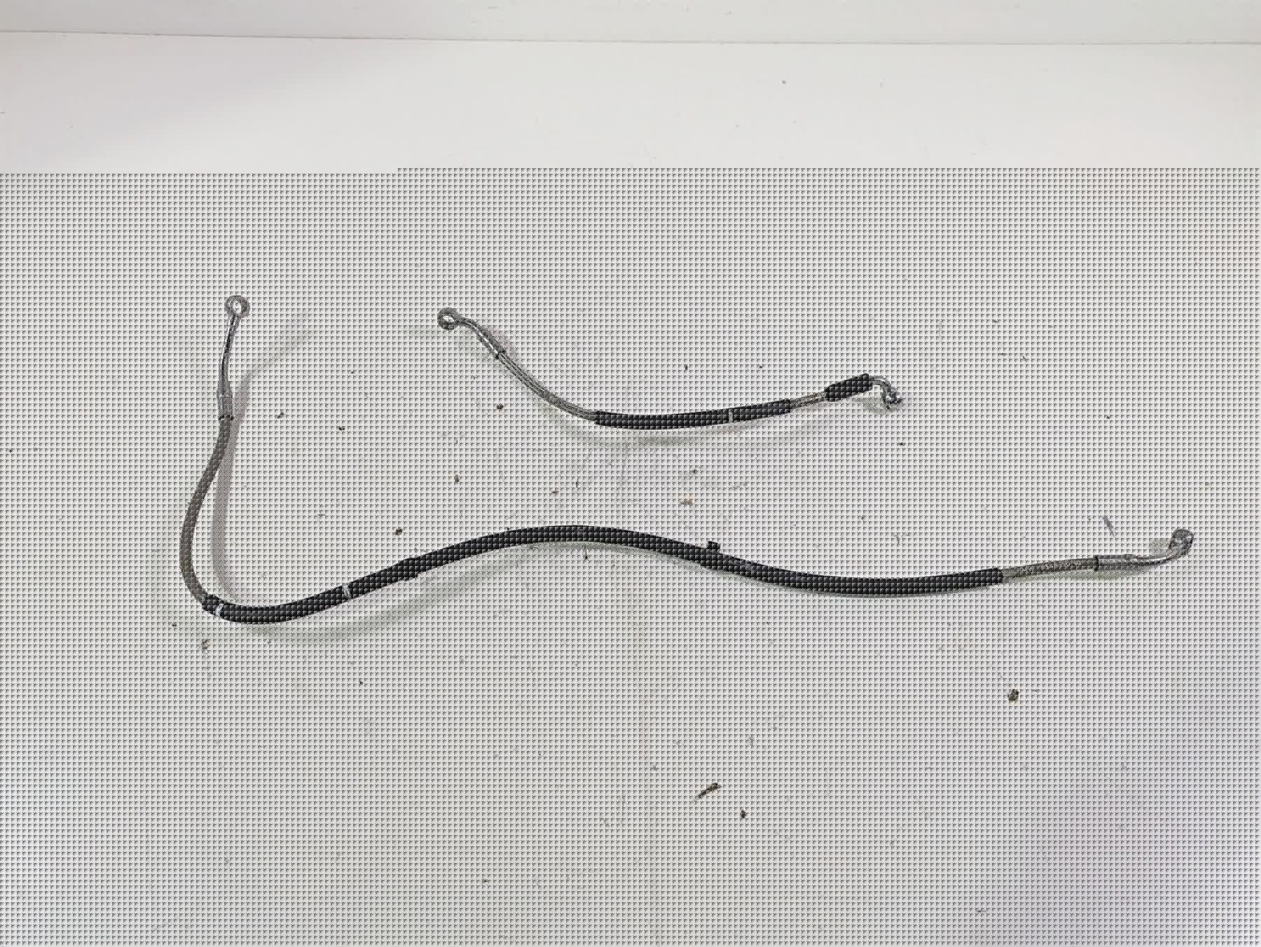 2017 BMW S1000R K47 Rear Flexible Abs Brake Line Set 34328548850 34328559426 | Mototech271