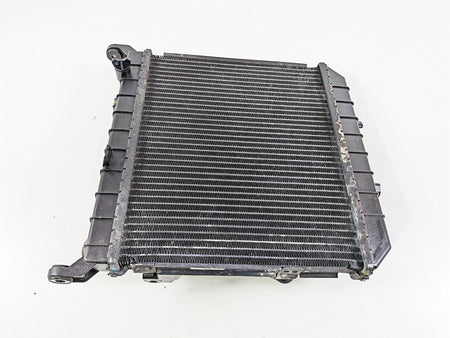 2020 Indian Challenger Limited Radiator Fan Reservoir Set - No Leaks 1241380-Mototech271