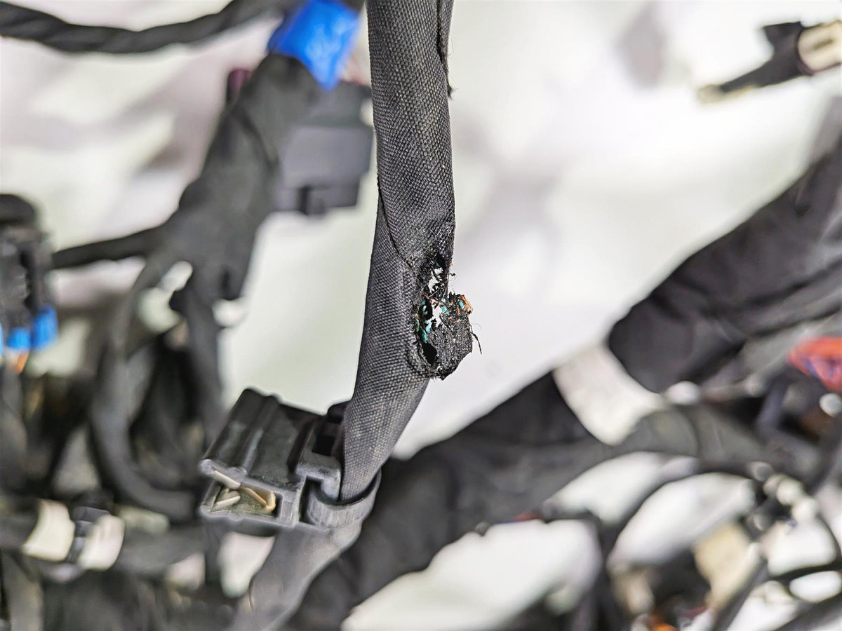 2024 Polaris RZR Pro XP Sport Main Wiring Harness Loom 2416630-Mototech271