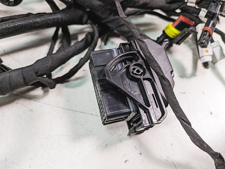 2020 Ducati Scrambler 1100 Sport Pro Wiring Harness Loom -No Cuts 5101F841E {{ shop.shopifyCountryName }} - Mototech271