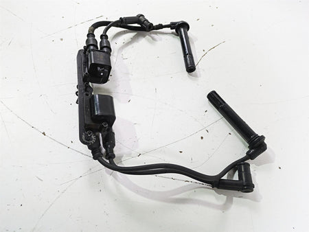2017 Ducati Monster 1200 S Beru Ignition Coils Wires Plugs & Bracket 38040101C {{ shop.shopifyCountryName }} - Mototech271