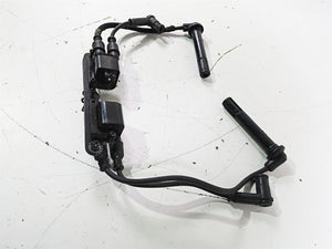 2017 Ducati Monster 1200 S Beru Ignition Coils Wires Plugs & Bracket 38040101C | Mototech271