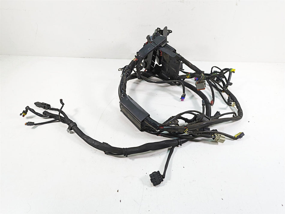 2009 Harley Softail FLSTSB Cross Bones Wiring Harness Loom No Cuts 70431-08A {{ shop.shopifyCountryName }} - Mototech271