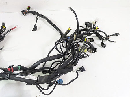 2022 Ducati Scrambler Desert Sled Main Wiring Harness Loom - Read 5101E241C {{ shop.shopifyCountryName }} - Mototech271