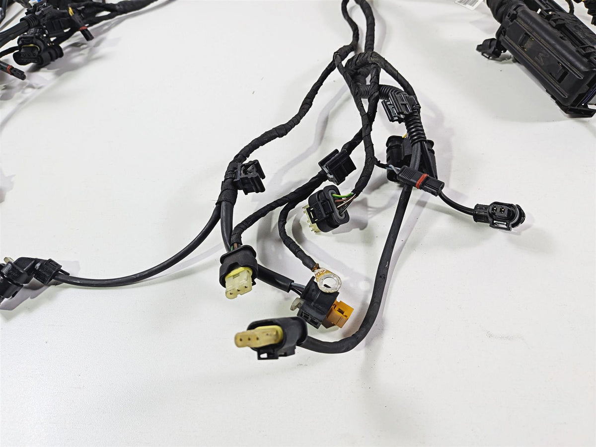 2023 BMW R nineT Scrambler K23 Main Wiring Harness & Engine Wiring 61111623748 {{ shop.shopifyCountryName }} - Mototech271