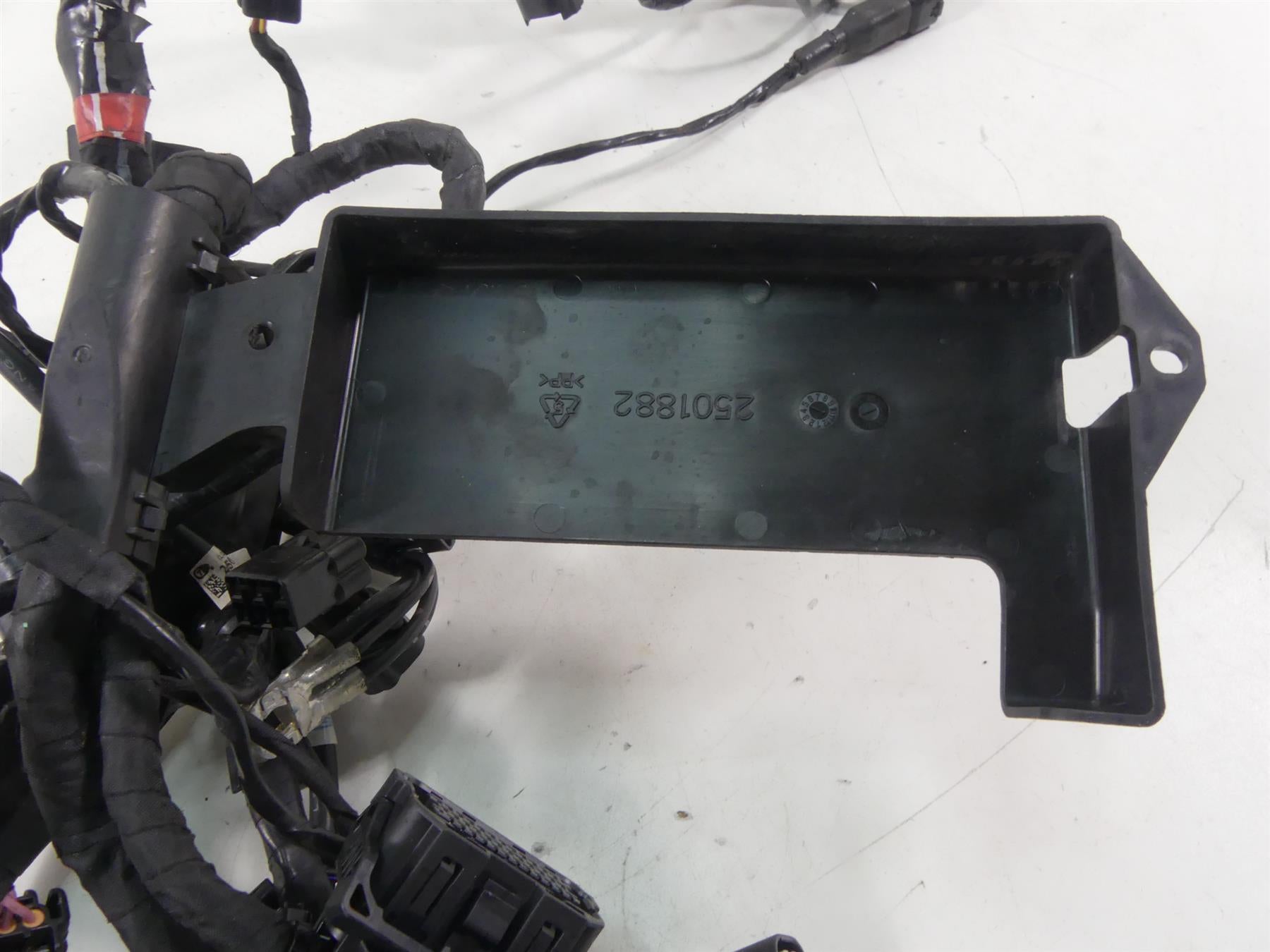 2019 Triumph Street Triple 765R Main Wiring Harness Loom -No Cuts T2507659 {{ shop.shopifyCountryName }} - Mototech271