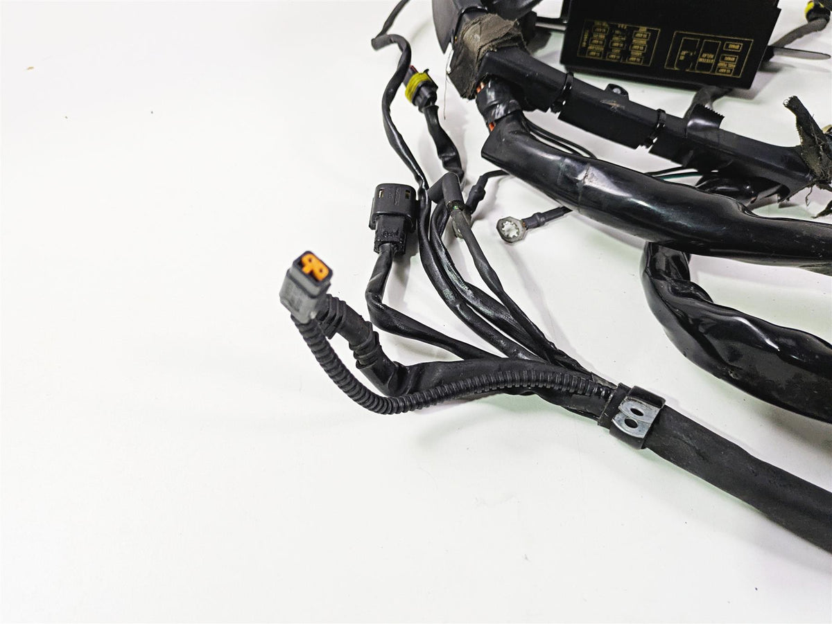 2008 Harley FXCWC Softail Rocker Main Wiring Harness - No Cuts 70452-08 {{ shop.shopifyCountryName }} - Mototech271