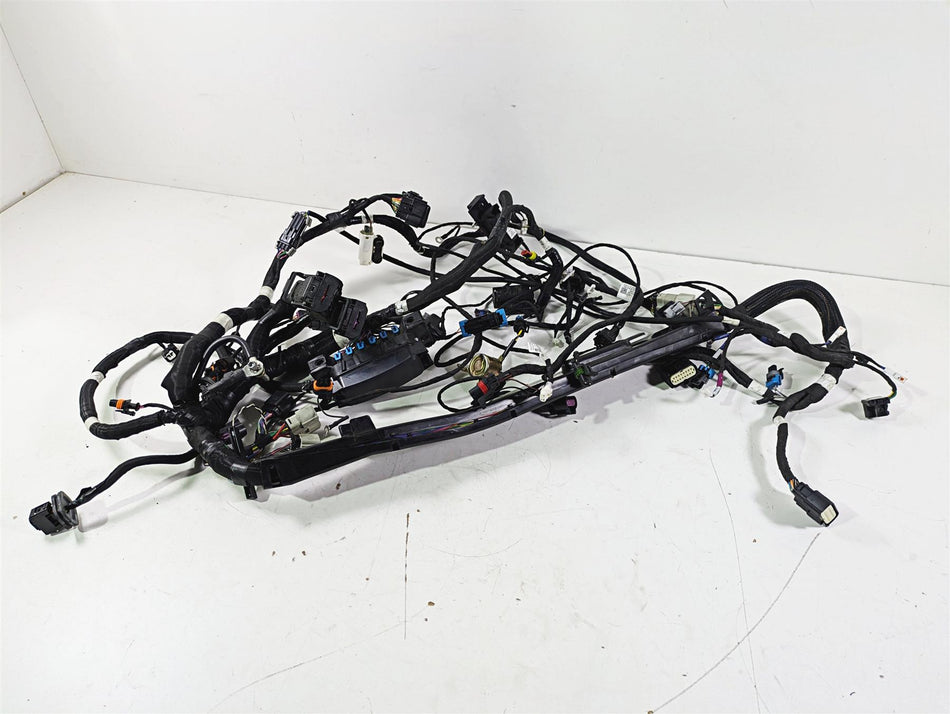 2019 Indian Chieftain Limited Front Nose Wiring Harness Loom No Cuts 2414627 {{ shop.shopifyCountryName }} - Mototech271
