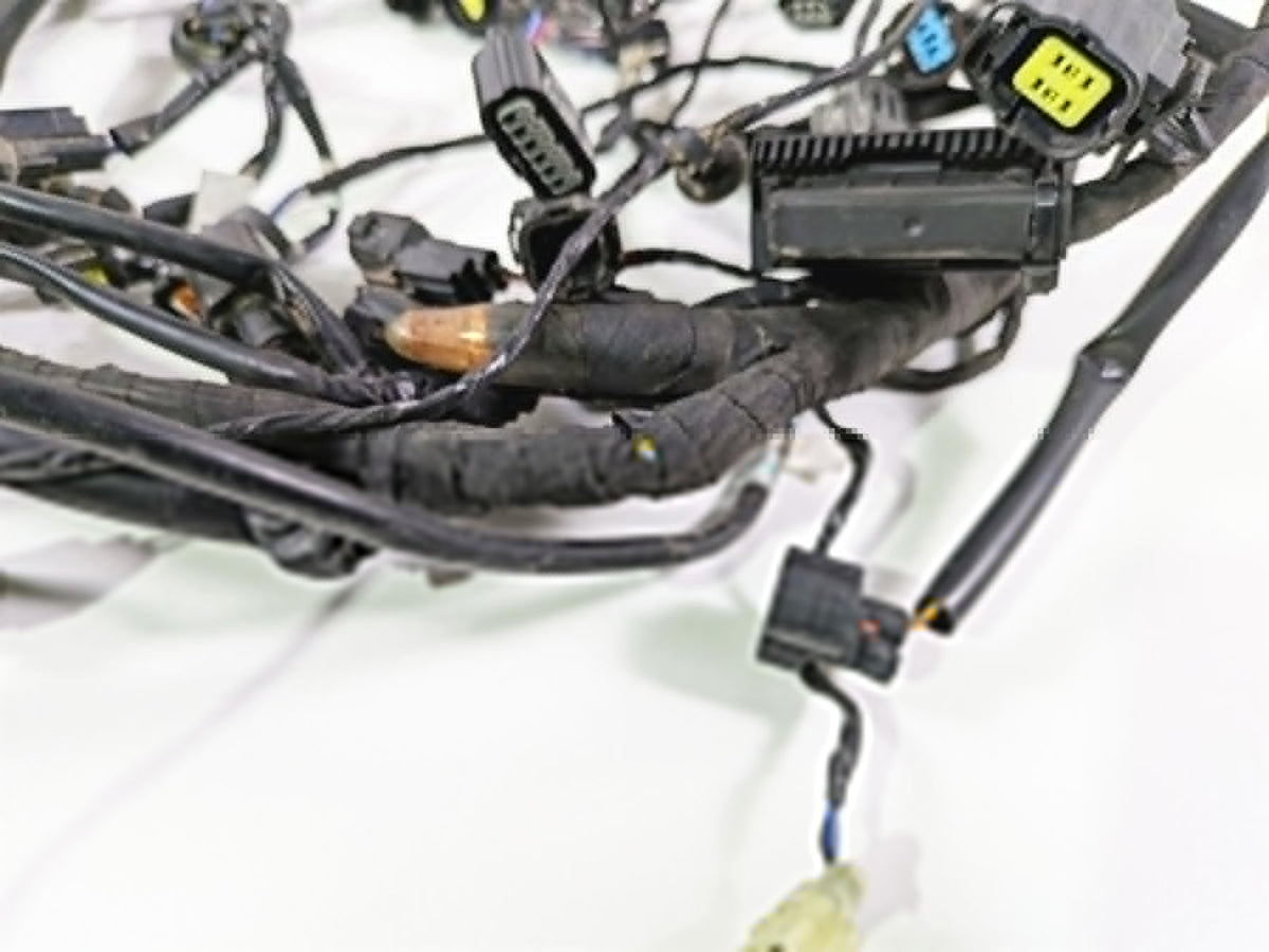 2024 Triumph Tiger 900 GT Main Wiring Harness Loom - No Cut T2507820 T2502370 {{ shop.shopifyCountryName }} - Mototech271