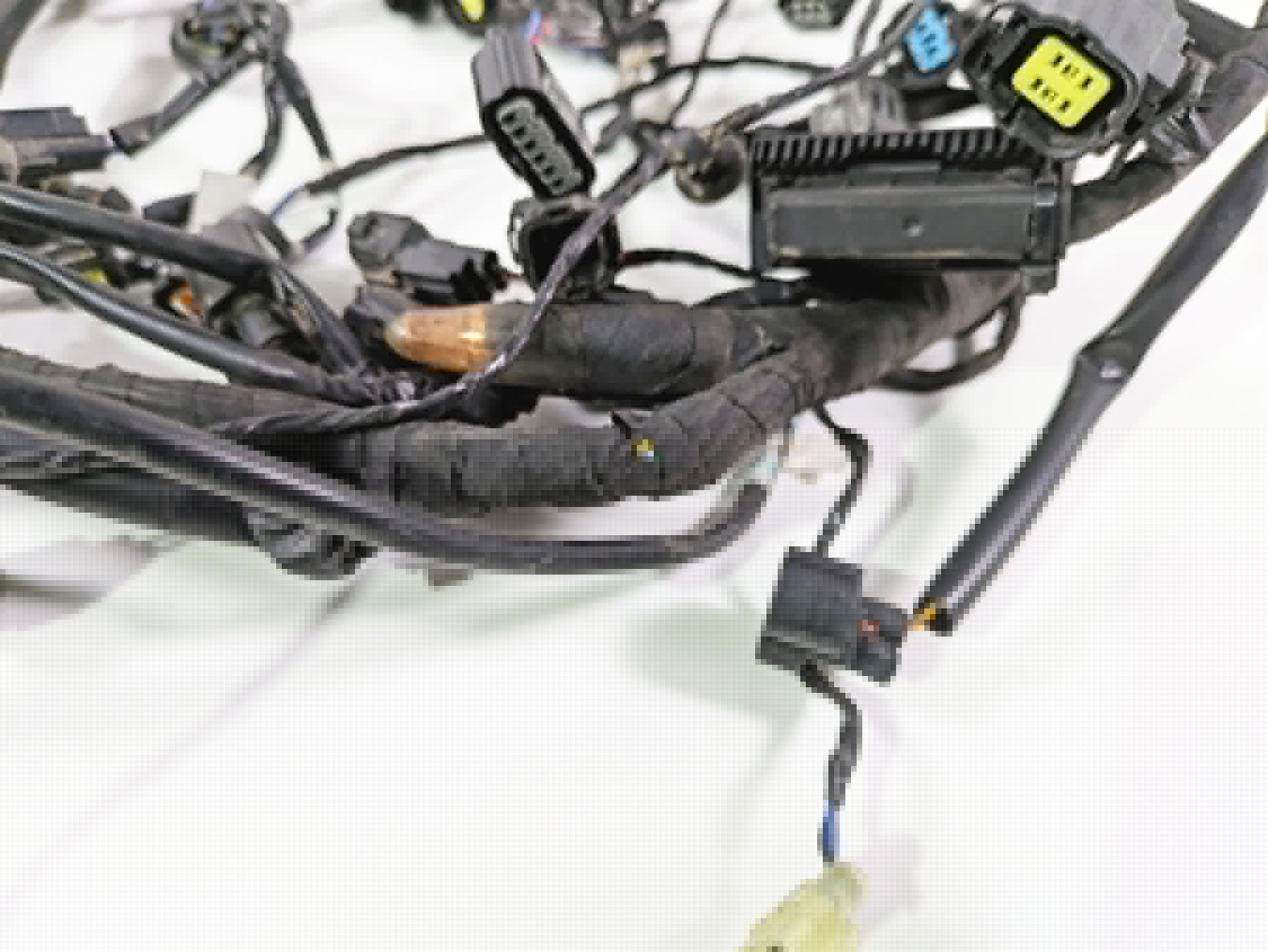 2024 Triumph Tiger 900 GT Main Wiring Harness Loom - No Cut T2507820 T2502370 {{ shop.shopifyCountryName }} - Mototech271