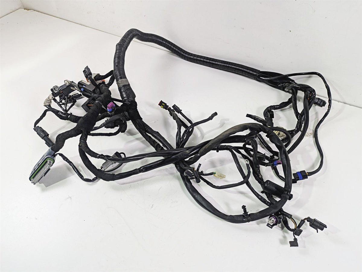 2009 Harley FXDC Dyna Super Glide Wiring Harness Loom 69602-08 {{ shop.shopifyCountryName }} - Mototech271