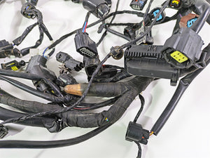 2024 Triumph Tiger 900 GT Main Wiring Harness Loom - No Cut T2507820 T2502370 | Mototech271