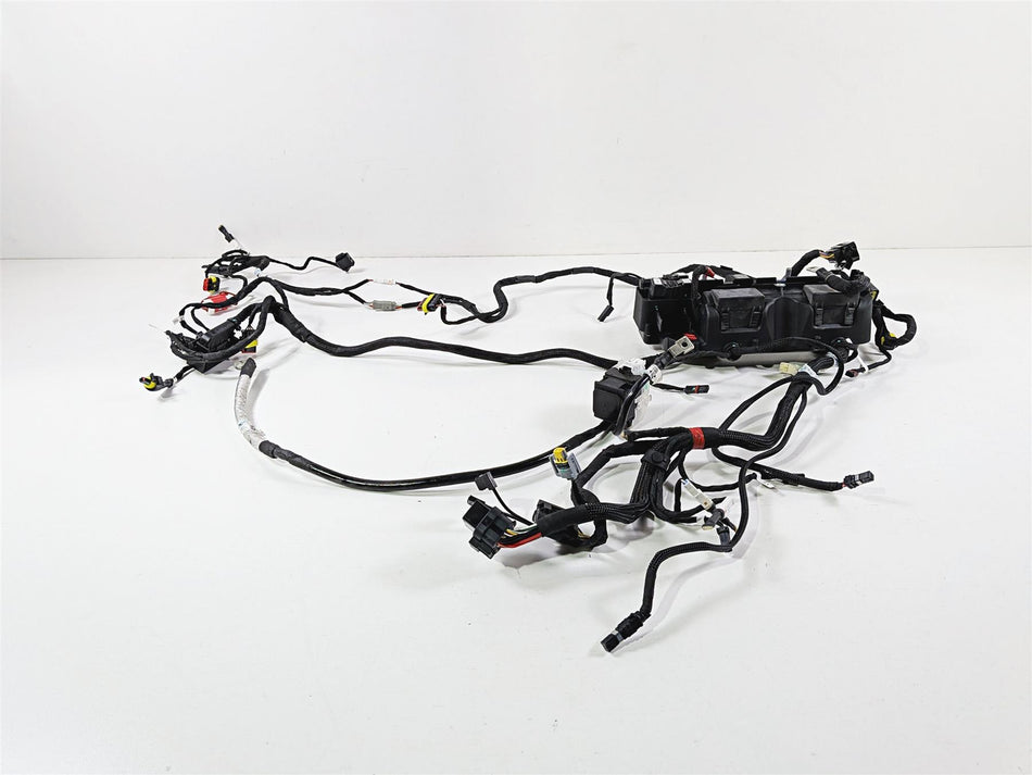 2023 Ducati Streetfighter V4 Main Wiring Harness Loom - No Cuts 5101M271B-Mototech271