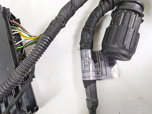 2015 BMW R1200 GS Adv K51 Main & Engine Wiring Harness Esa Heat Read 61118549371