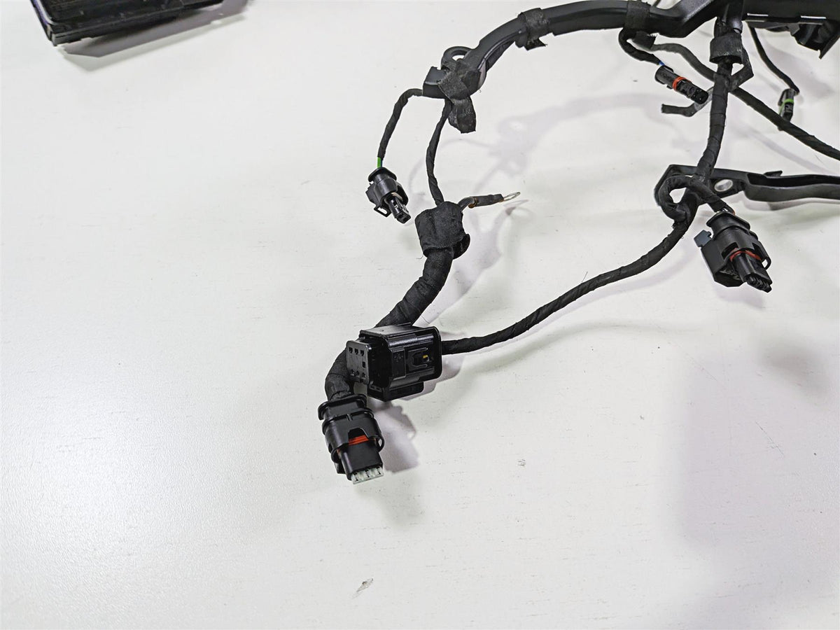2021 BMW R1250GS K51 Adventure Main & Engine Wiring Harness Esa 61111683766-Mototech271