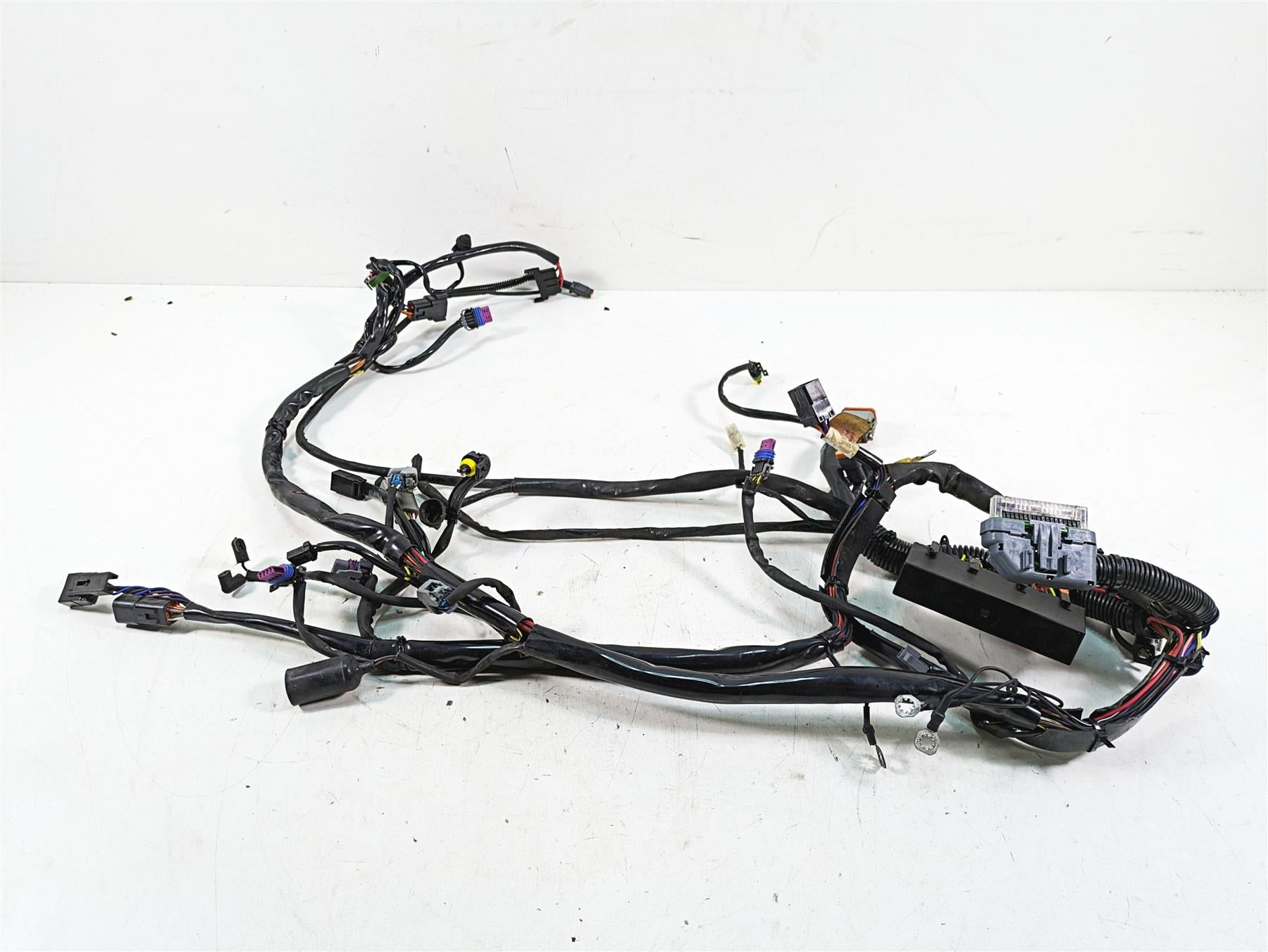 2006 Harley FLSTI Softail Heritage Main Wiring Harness Loom - Read 70431-06 {{ shop.shopifyCountryName }} - Mototech271