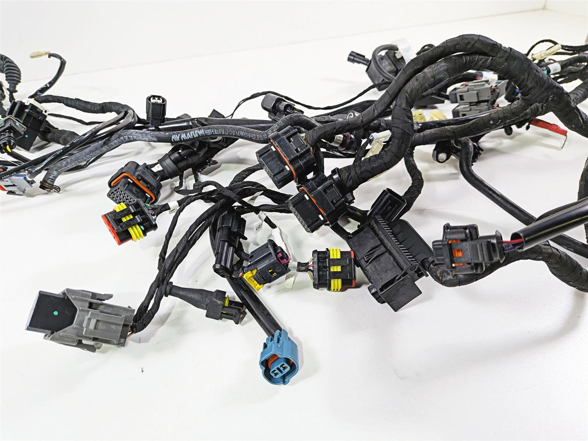 2019 Ducati 959 Panigale Main Wiring Harness Loom - No Cut 5101B071B {{ shop.shopifyCountryName }} - Mototech271