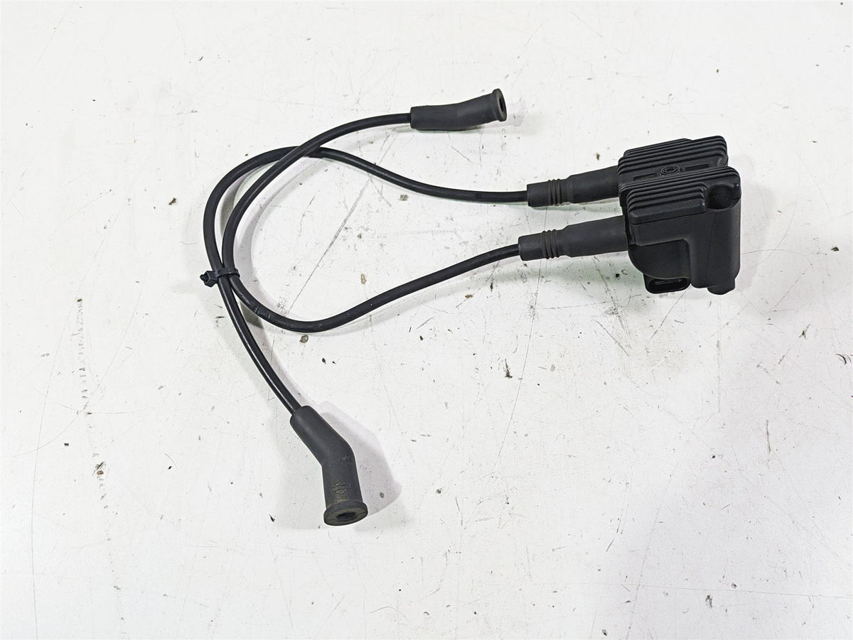 2003 Harley Touring FLHTCUI 100TH E-Glide Ignition Coil Wires Plugs 31743-01 {{ shop.shopifyCountryName }} - Mototech271