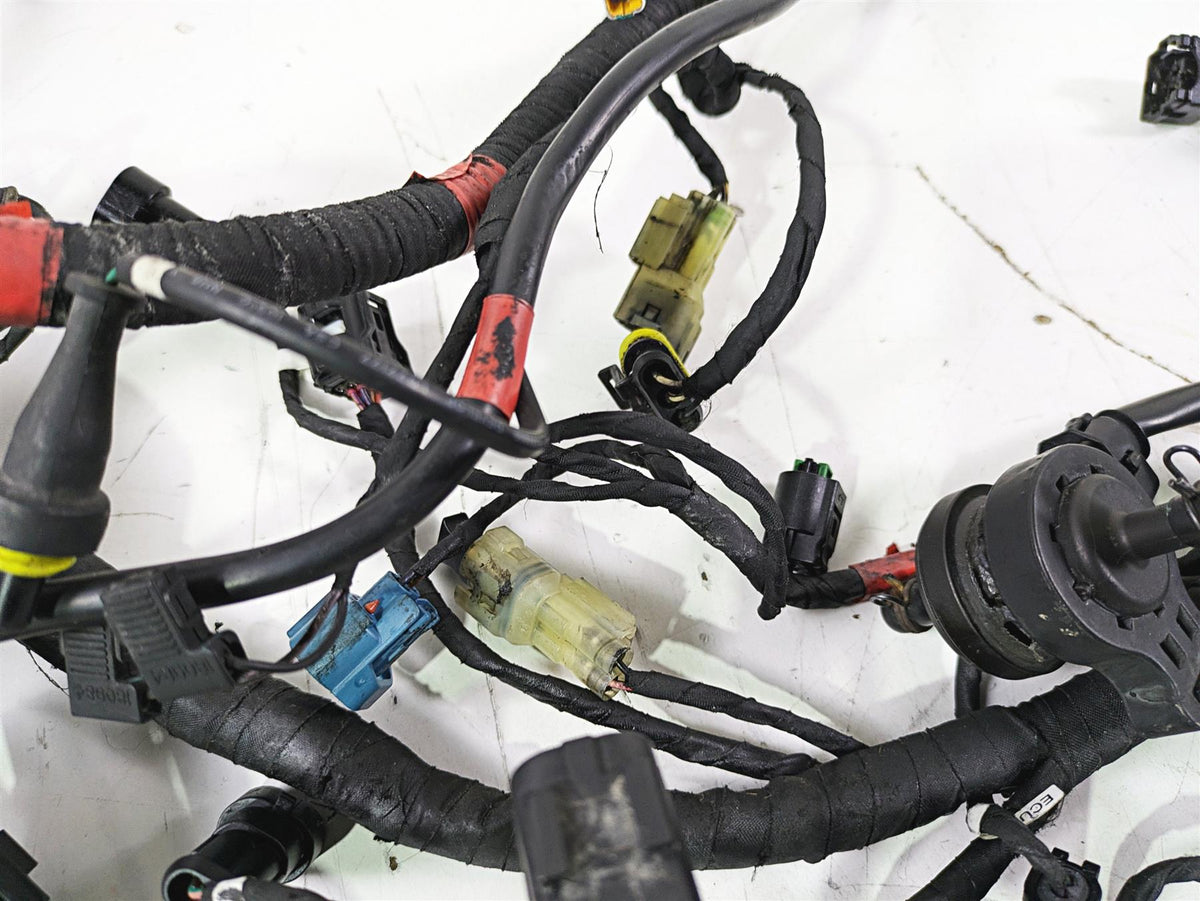 2017 Ducati Monster 1200 S Main Wiring Harness Loom No Cuts 5101B291C {{ shop.shopifyCountryName }} - Mototech271