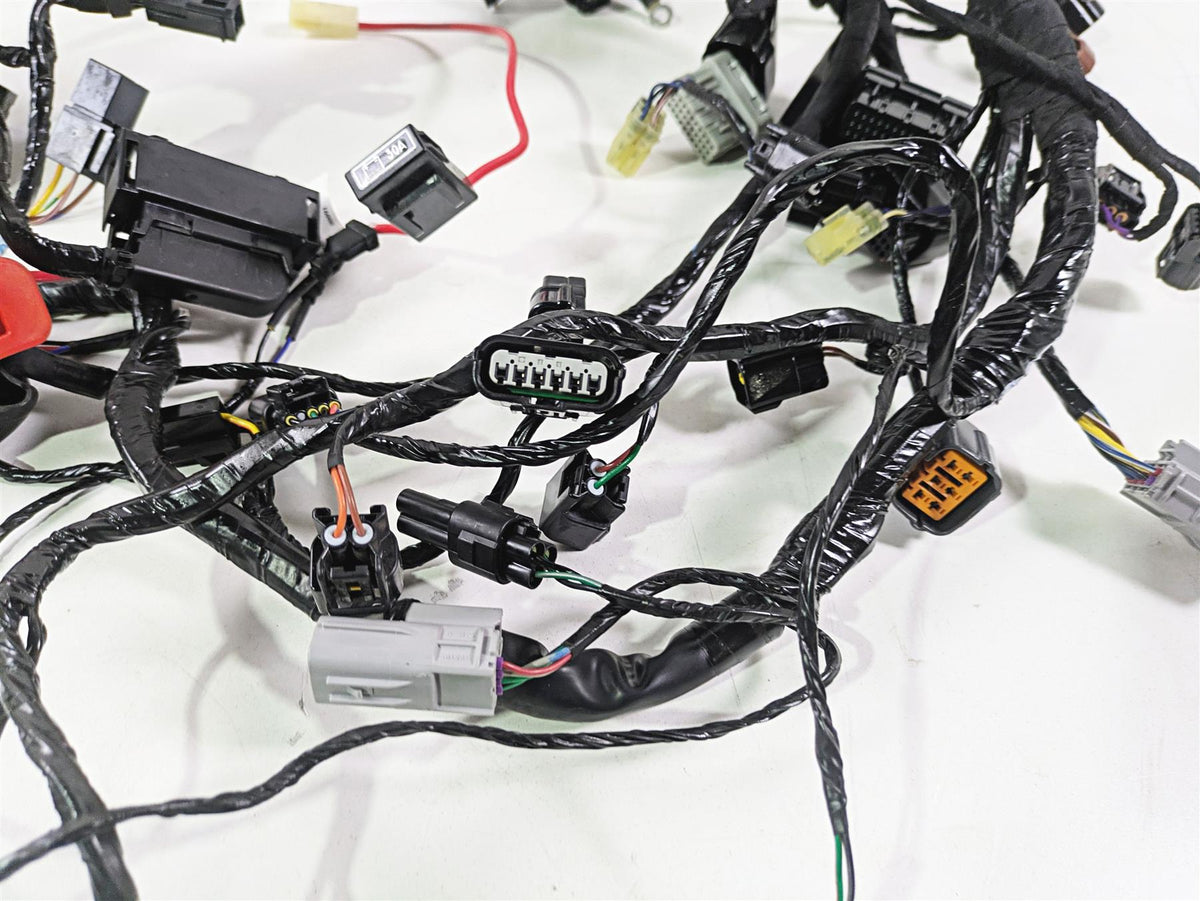2024 Triumph Street Triple 765 R Main Wiring Harness Loom - No Cuts T2509765 {{ shop.shopifyCountryName }} - Mototech271